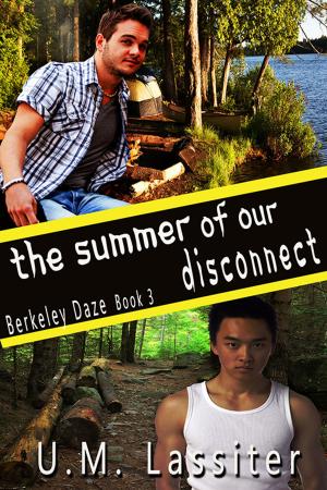 Cover of the book The Summer of Our Disconnect by Valerie Brundage