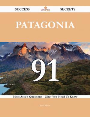 Cover of the book Patagonia 91 Success Secrets - 91 Most Asked Questions On Patagonia - What You Need To Know by Jo Franks