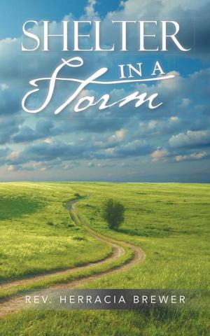 Cover of the book Shelter in a Storm by Tracy S. Smith
