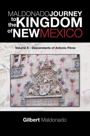 Cover of the book Maldonado Journey to the Kingdom of New Mexico by Julian Phitzroye Martin II
