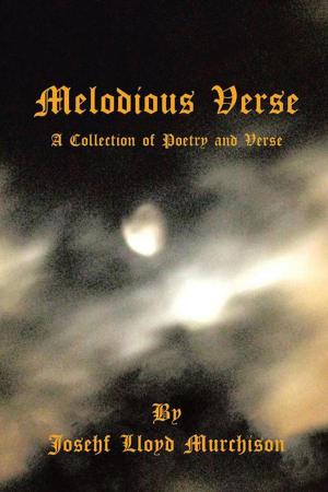 Cover of the book Melodious Verse by Владимир Ерошин