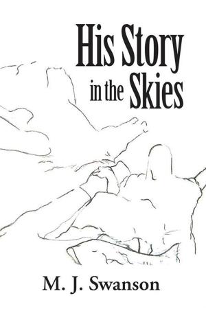 Cover of the book His Story in the Skies by Thomas A. Dornfried