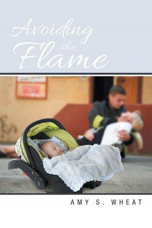 Cover of the book Avoiding the Flame by Karen Morgan