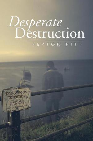 Cover of the book Desperate Destruction by André van Niekerk