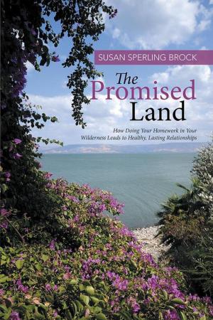 Cover of the book The Promised Land by Hermion Chiddick