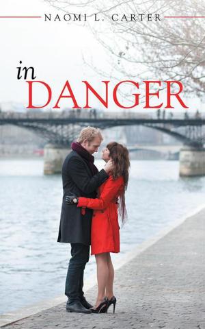 Cover of the book In Danger by Terry G. Nelson Sr.