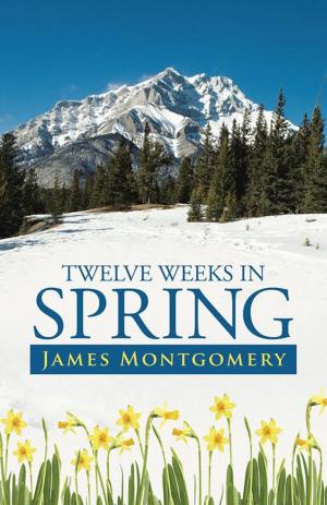 Cover of the book Twelve Weeks in Spring by T. Fields