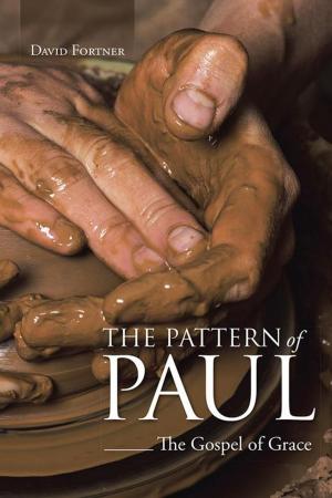Cover of the book The Pattern of Paul by Marilyn O. Flower
