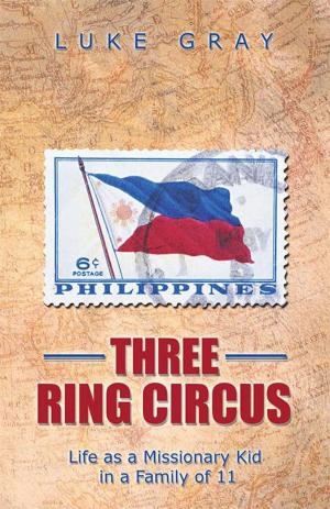 Cover of the book Three Ring Circus by Ethan Surland