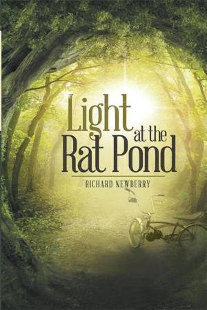 Cover of the book Light at the Rat Pond by Willis Johnson