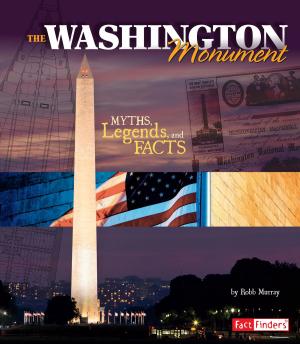 Cover of the book The Washington Monument by Roberto Pavanello