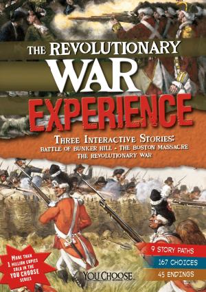Book cover of The Revolutionary War Experience
