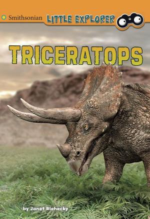Cover of the book Triceratops by Jake Maddox