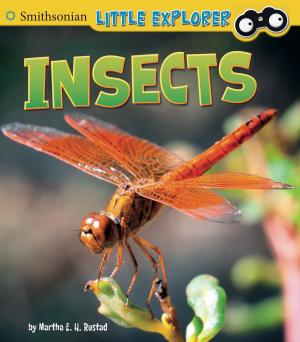 Cover of the book Insects by Martin Powell