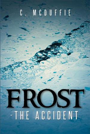 Cover of the book Frost - the Accident by Gary Arthur Thomson