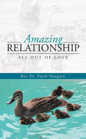 Cover of the book Amazing Relationship by Todd Andrew Rohrer