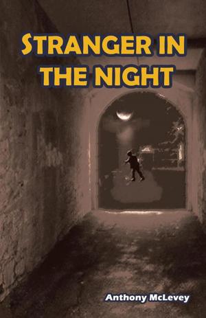 Cover of the book Stranger in the Night by B. Louis Richardson