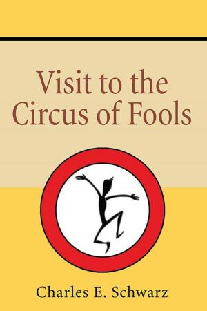 Cover of the book Visit to the Circus of Fools by Derek Hart