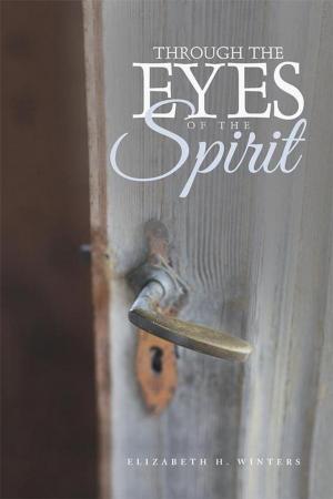 Cover of the book Through the Eyes of the Spirit by Kathryn Bolser Banks