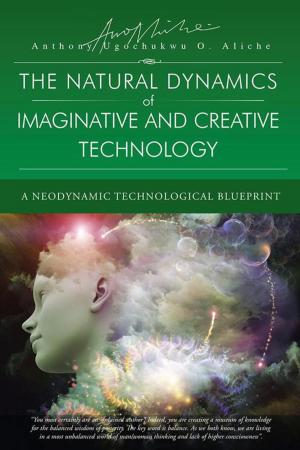 bigCover of the book The Natural Dynamic of Imaginative and Creative Technology by 
