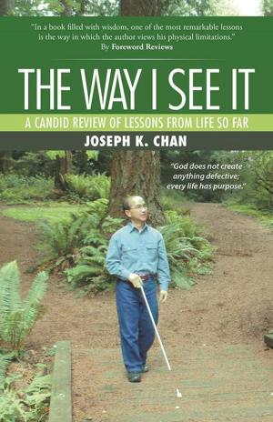 Cover of the book The Way I See It by Ellyn Hugus