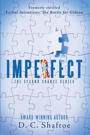 Cover of the book Imperfect by Todd Adam Hewlett