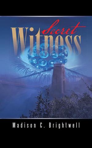 Book cover of Secret Witness
