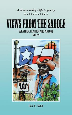 Cover of the book Views from the Saddle by Philip J. Eveland
