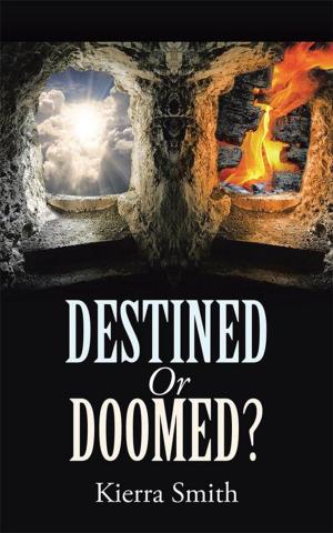 Cover of the book Destined or Doomed? by J. Frederika