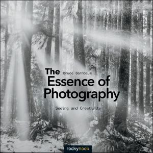 Cover of the book The Essence of Photography by Jack Dykinga