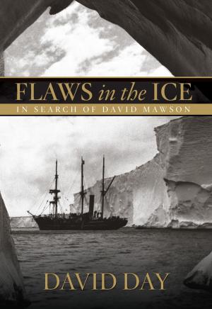 Book cover of Flaws in the Ice