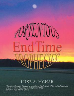 Cover of the book Portentous End Time Prophecies by Daniel John