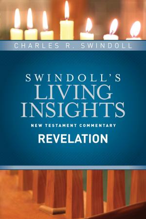 Cover of the book Insights on Revelation by Joni and Friends, Inc., Joni Eareckson Tada