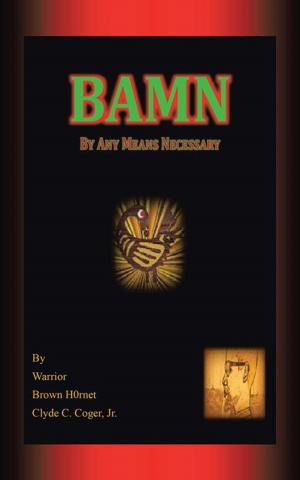 Cover of the book Bamn by David Jonathan Bradley