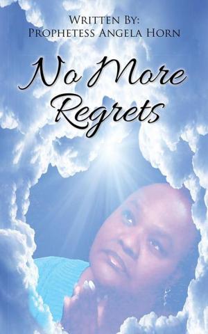 Cover of the book No More Regrets by Mike Whiting