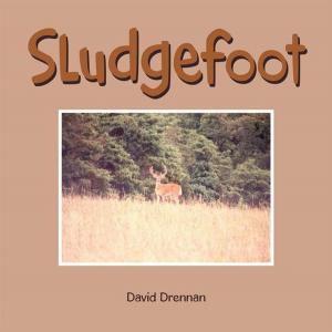Cover of the book Sludgefoot by Hugo Uyttenhove