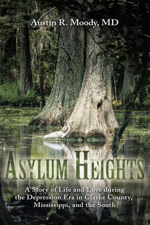 Cover of the book Asylum Heights by Michael Spice
