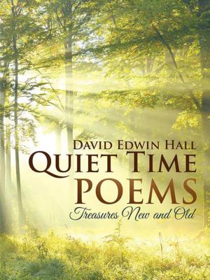 Cover of the book Quiet Time Poems by Michael Hailparn