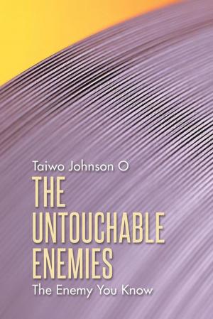Cover of the book The Untouchable Enemies by Jery Tillotson