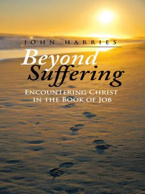 Cover of the book Beyond Suffering by Evangelist Eddie Mae Strauss
