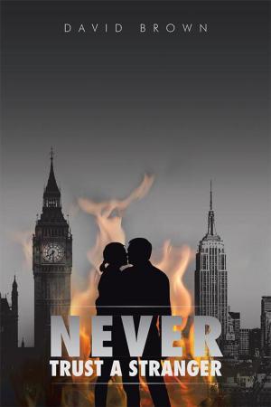 Cover of the book Never Trust a Stranger by Amy Flashman