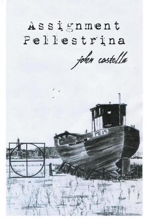 Book cover of Assignment Pellestrina