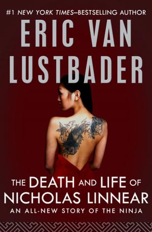 Cover of the book The Death and Life of Nicholas Linnear by Alison Lurie