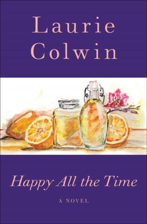 Cover of the book Happy All the Time by Johanna Kaplan