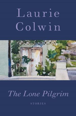 Book cover of The Lone Pilgrim