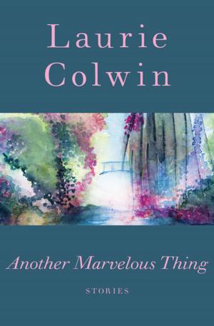 Cover of the book Another Marvelous Thing by Riya Anne Polcastro
