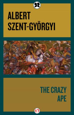 Cover of the book The Crazy Ape by 