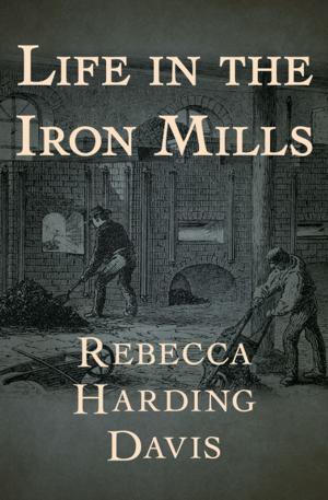 Book cover of Life in the Iron Mills