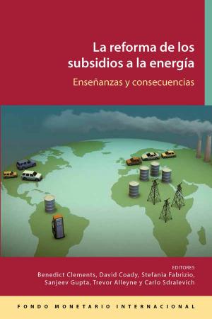 Book cover of Reforma de los subsidios a la energía