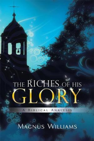 Cover of the book The Riches of His Glory by Christine Hazel Dixon